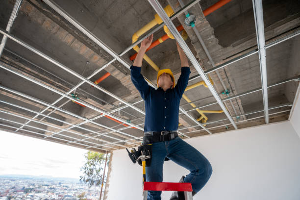 Best Plumbing Inspection Services  in Orida City, FL